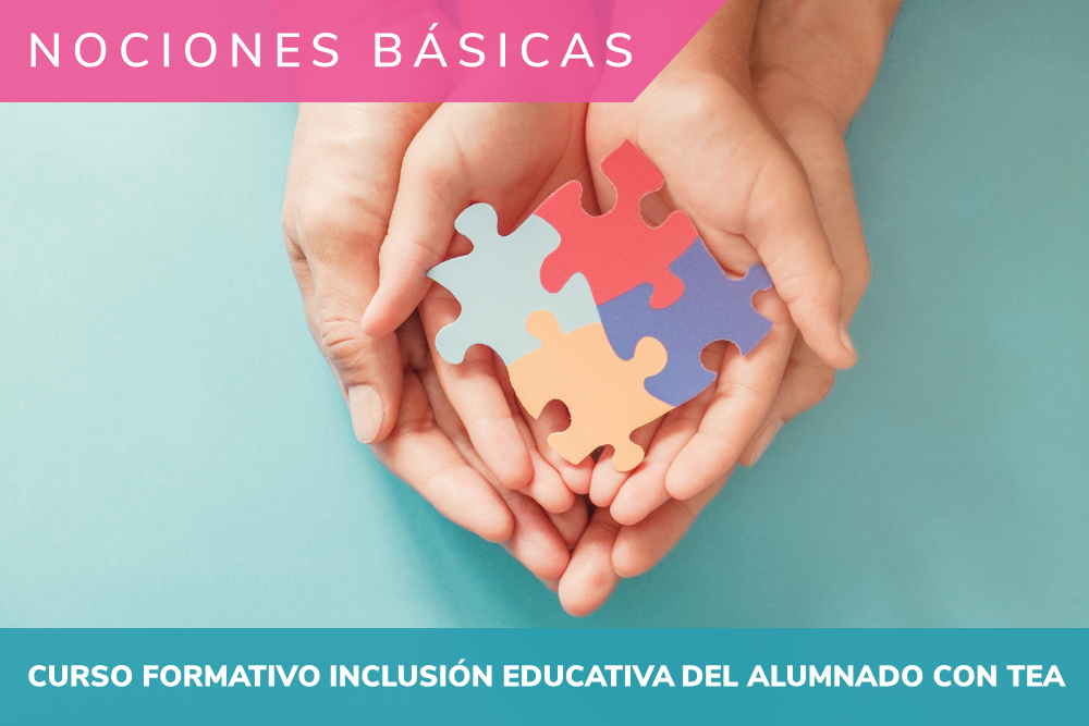 Curso formativo Inclusión Educativa del Alumnado con TEA – Nociones básicas, Aula Desigual